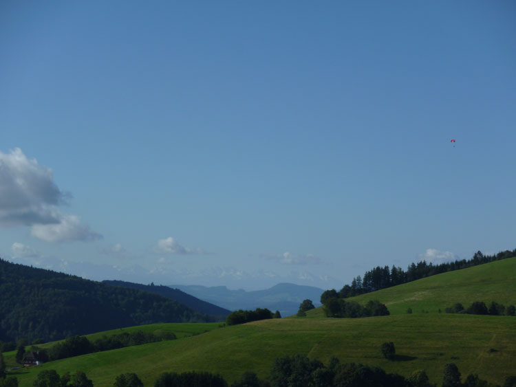 Gleitschirmfliegen im Schwarzwald: Paragliding mit Alpenblick