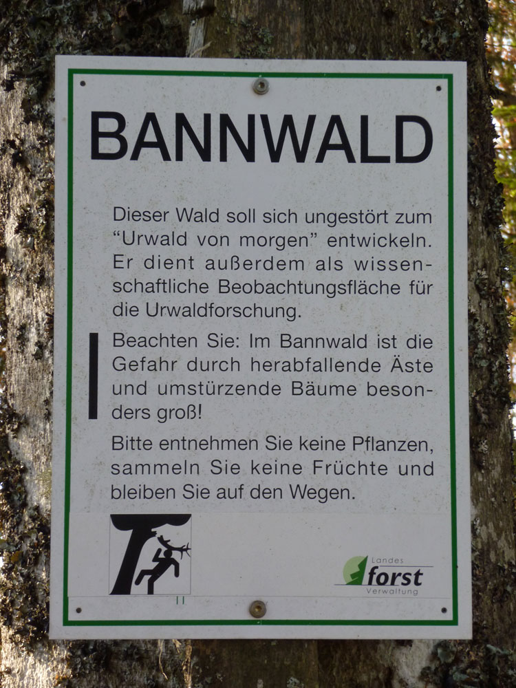 Schild Bannwald am Belchen im Schwarzwald