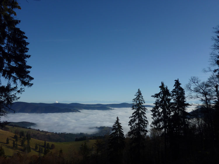 Belchen im Schwarzwald Aussicht ins Nebel gefüllte Wiesental