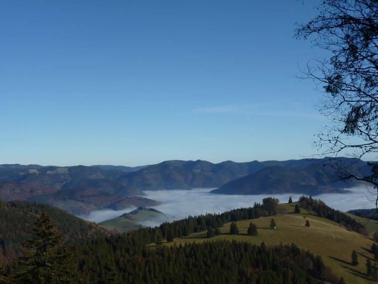 Belchen im Scharzwald Aussicht in die Landschaft