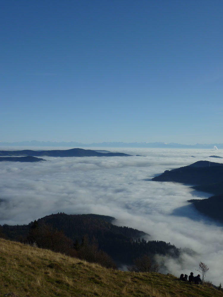 Schwarzwald Wanderung am Belchen mit Aussicht auf das Wiesental im Nebelmeer