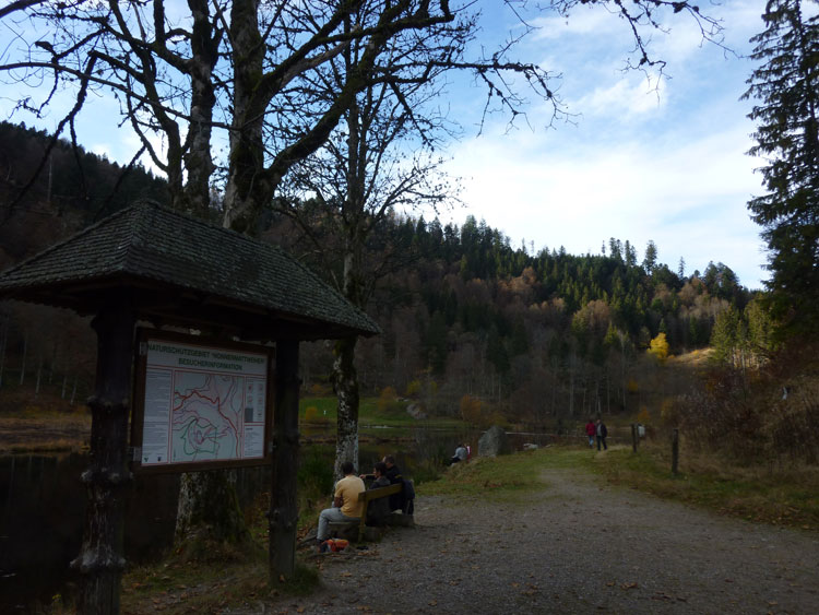 Naturschutzgebiet Nonnenmattweiher im Schwarzwald