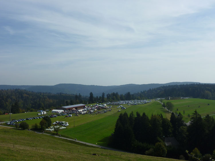 Schwarzwald Weidefest in der Landschaft