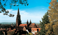 Bild Südlicher Schwarzwald Ausflug Freiburg
