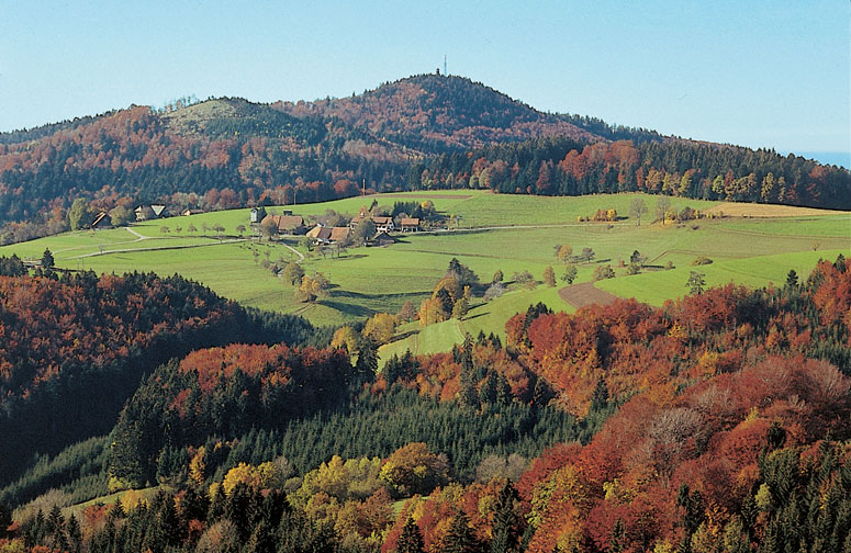 Herbst Schwarzwald