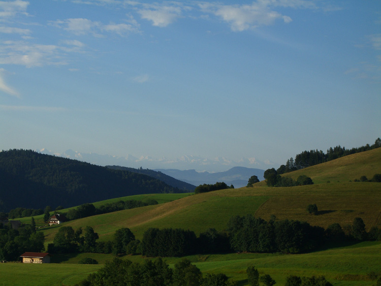 Schwarzwald Ferienwohnung Alpenblick