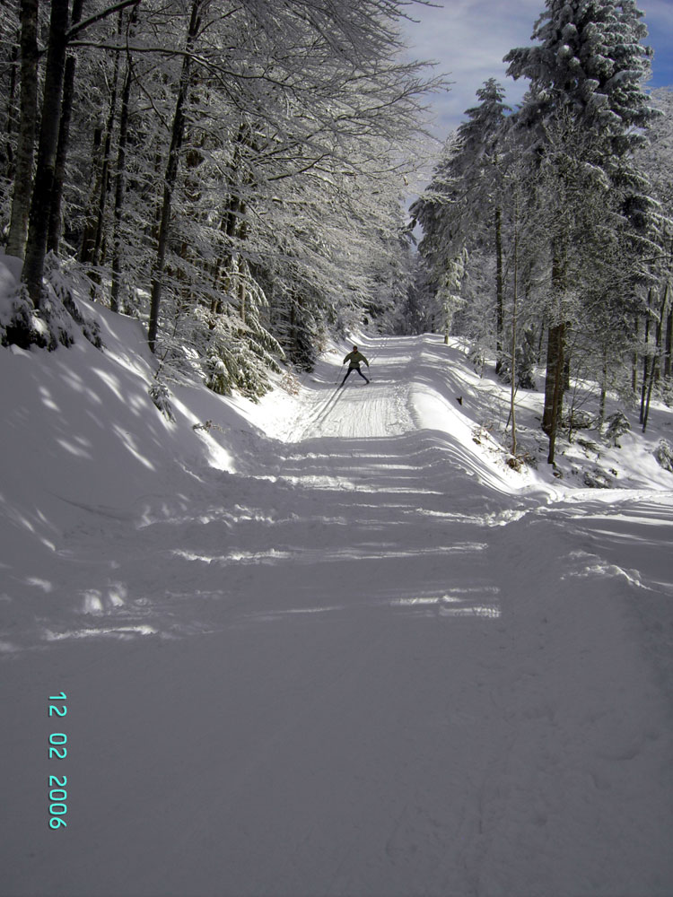 Schwarzwald Langlauf Abfahrt