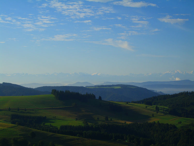 Aussicht beim Wandern vom Westweg im Schwarzwald bei Gersbach auf das Alpenpanorama 