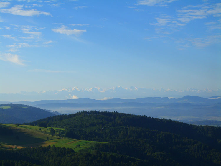 Alpensicht vom Westweg in Gersbach (Südschwarzwald)