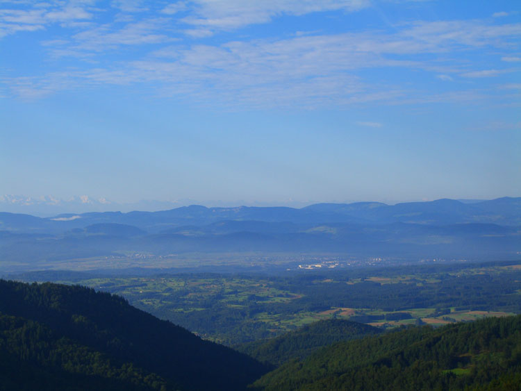 Vom Westweg des Schwarzwald auf das Schweizer Jura und die Alpen blicken